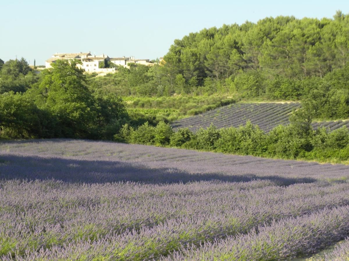 Les Vallons Holiday Home Lioux Exterior photo